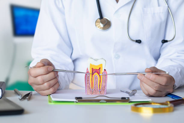 Best Emergency Dentist for Knocked-Out Tooth in Meadville, PA